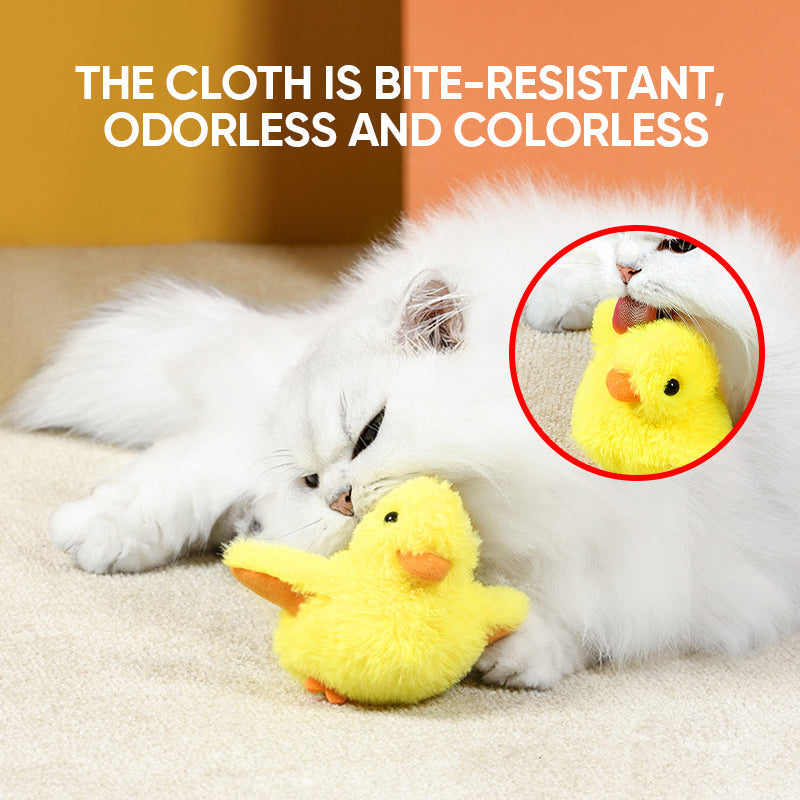 Toys For Your fur babies