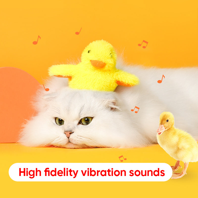 Toys For Your fur babies