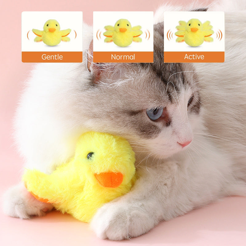 Toys For Your fur babies