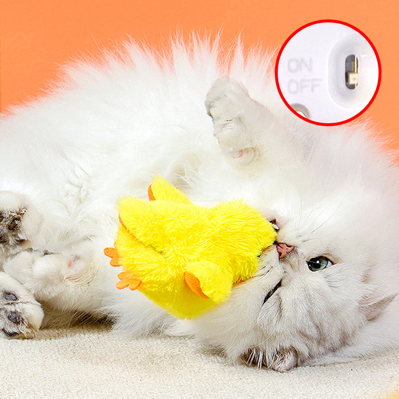 Toys For Your fur babies