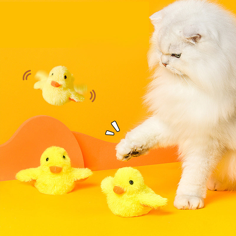 Toys For Your fur babies