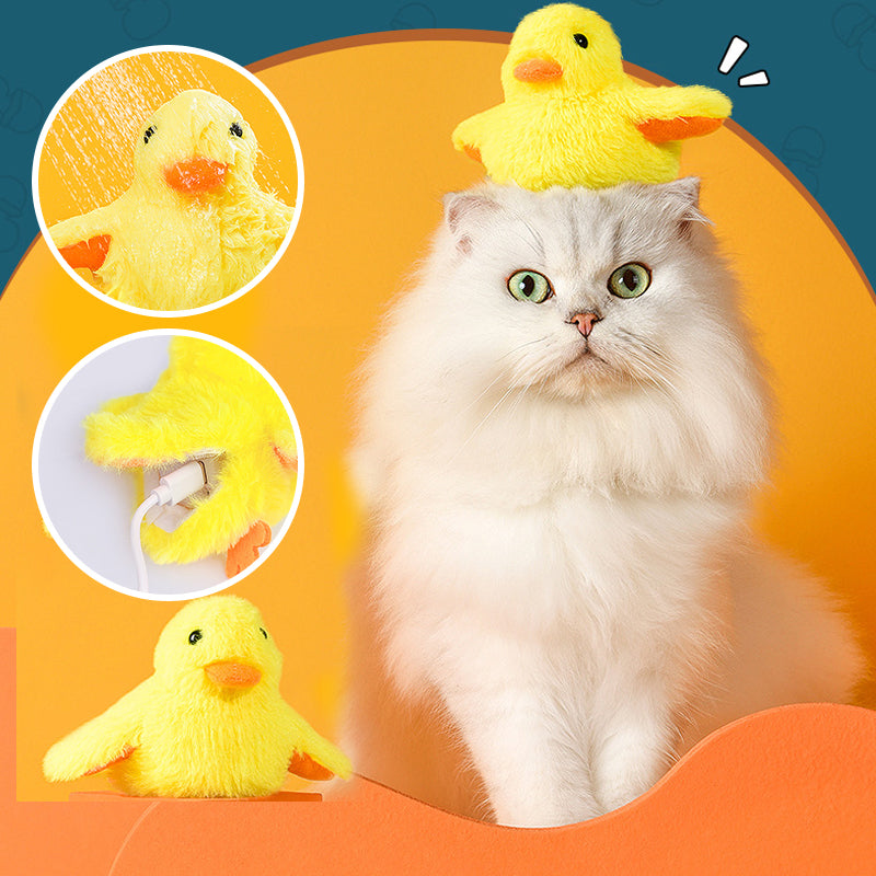 Toys For Your fur babies