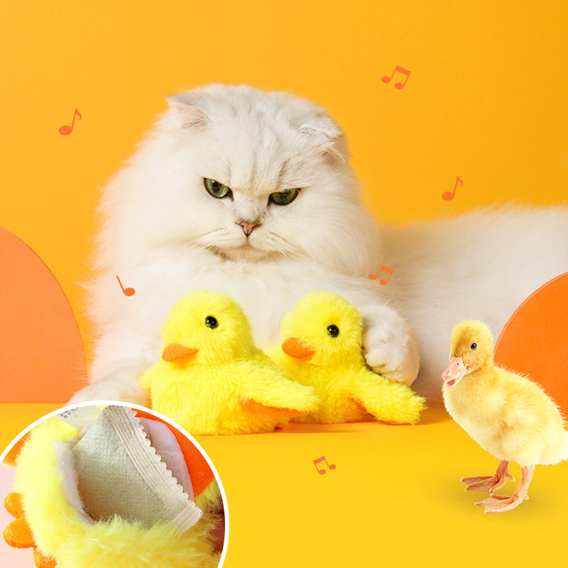 Toys For Your fur babies