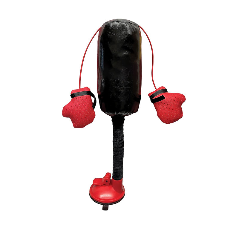 Cat Boxing Toy