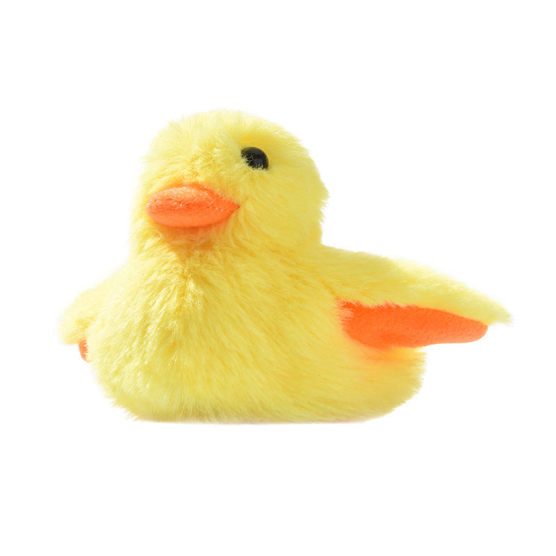 Toys For Your fur babies